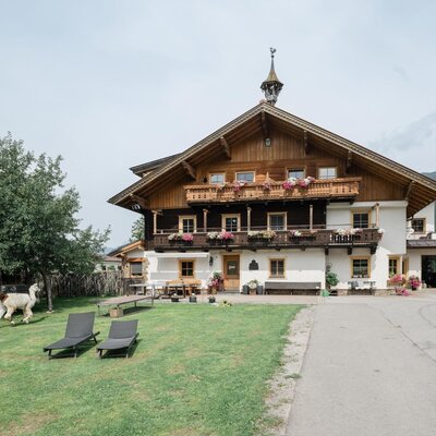 Hausansicht mit Lama Karli
