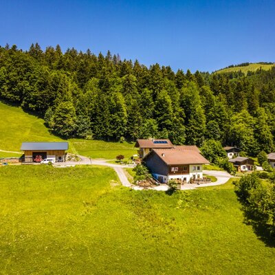 Der Reitlhof Bauernhof von oben, umgeben von grünen Wiesen und Wald.