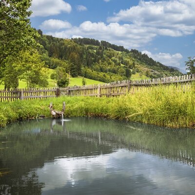 Der idyllische Naturteich des Bauernhofs, umgeben von einem Holzzaun und grünen Berghängen unter blauem Himmel.