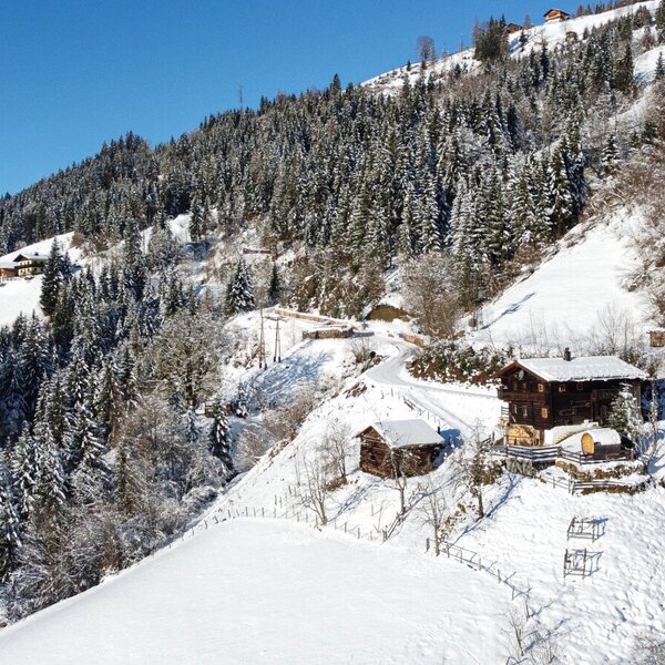 Artlieb im Winter