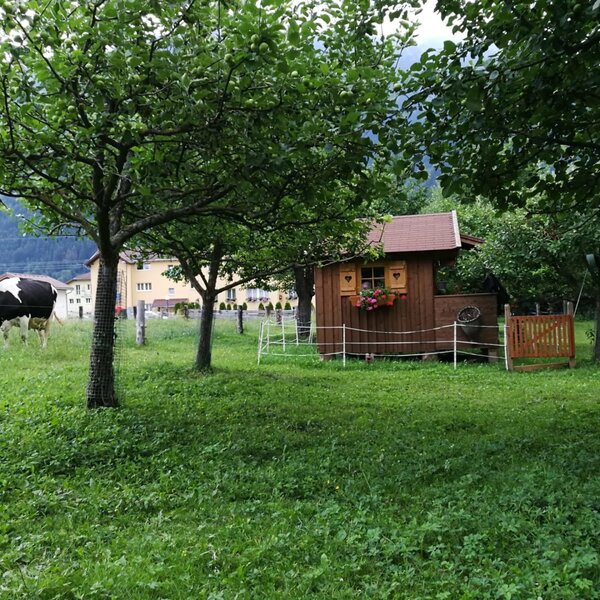 Außenbereich der Auszeithütte mit Wiese, grasender Kuh, Bäumen und einem kleinen Holzschuppen vor Bergkulisse.