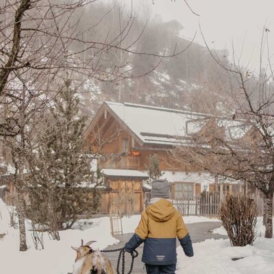 Ein idyllischer Wintertag auf dem Bauernhof, an dem Kinder die hofeigenen Ziegen auf einem verschneiten Pfad ausführen können.