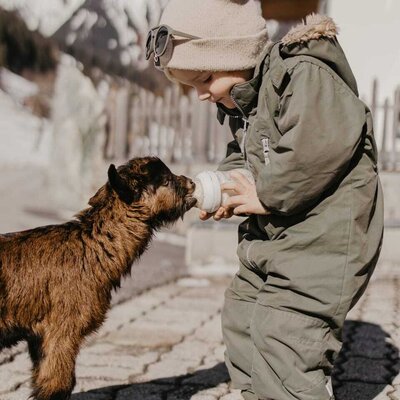 Ein herzerwärmender Moment auf dem Bauernhof, bei dem Kinder die kleinen Zicklein liebevoll mit der Flasche füttern können.