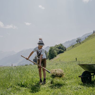 Das authentische Landleben auf dem Bauernhof mit traditioneller Heuarbeit auf den saftigen, grünen Bergwiesen.
