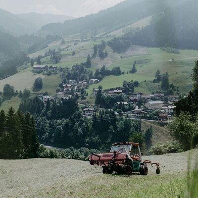 Ein idyllischer Ausblick von den Wiesen des Bauernhofs auf das malerische Tal und die umliegende Berglandschaft.