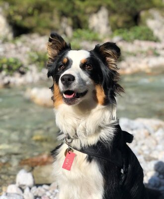 Kira