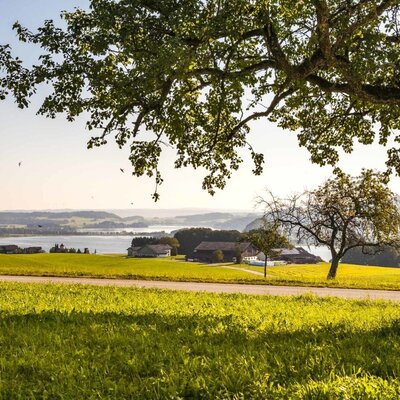 Seeblick