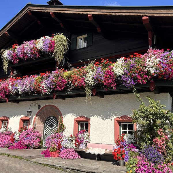 Außenansicht des Bauernhofs mit wunderschöner Blumenbracht!