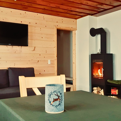 Wohnbereich der Ferienwohnung im Bauernhaus mit Sofa, Wandfernseher, Esstisch und Kaminofen.