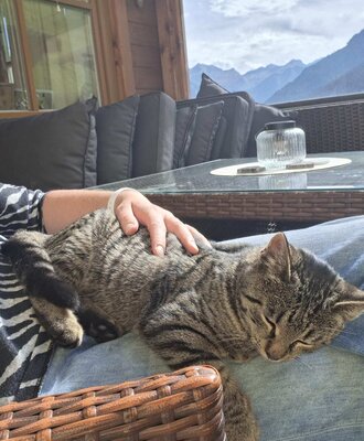 Ein gemütlicher Moment mit einer zutraulichen Katze auf dem einladenden Balkon des Bauernhofs mit Blick auf die Berge.
