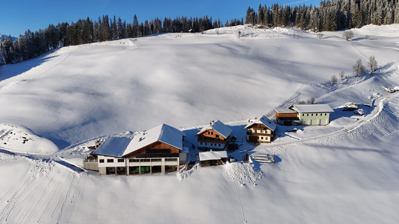 Die Ferienwohnung und umliegende Gebäude in einer verschneiten Berglandschaft mit Wald.