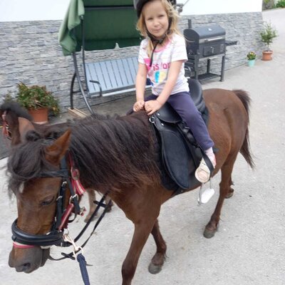 Unser Pony Dori freut sich euch kennen zulernen.