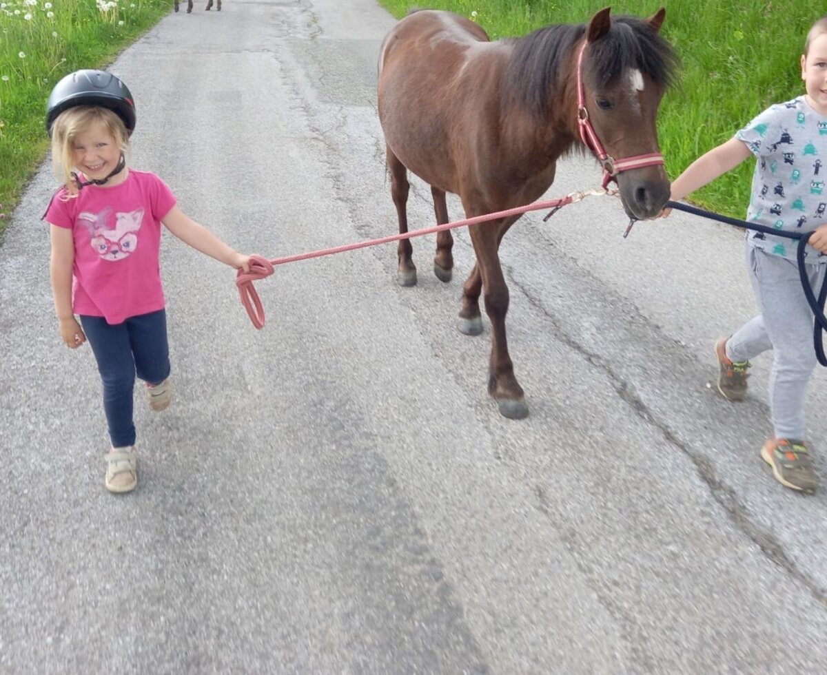Mit Dori kann man auch schöne Spaziergänge machen.
