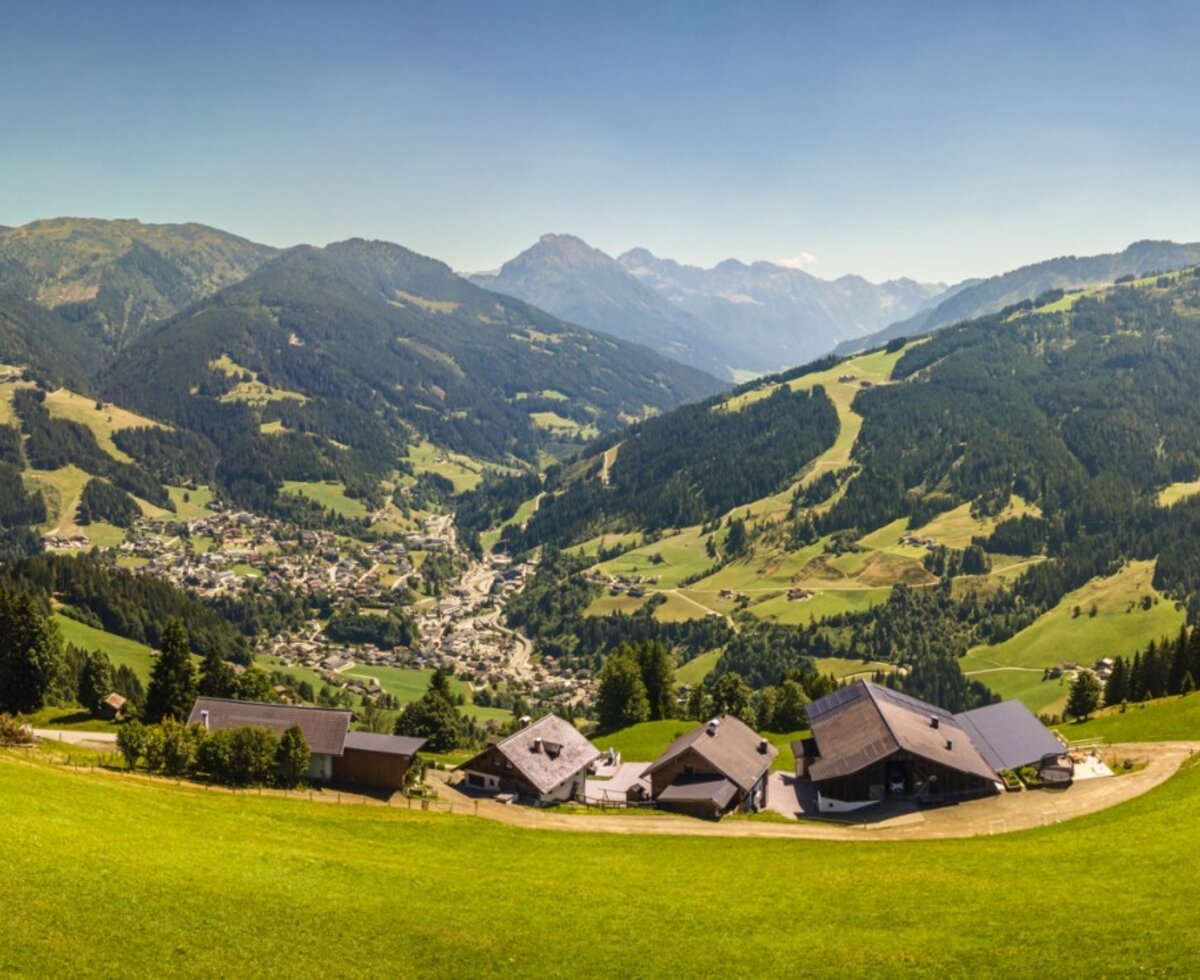 Ein malerischer Panoramablick von der Ferienwohnung auf saftig grüne Wiesen und die beeindruckende Bergwelt.