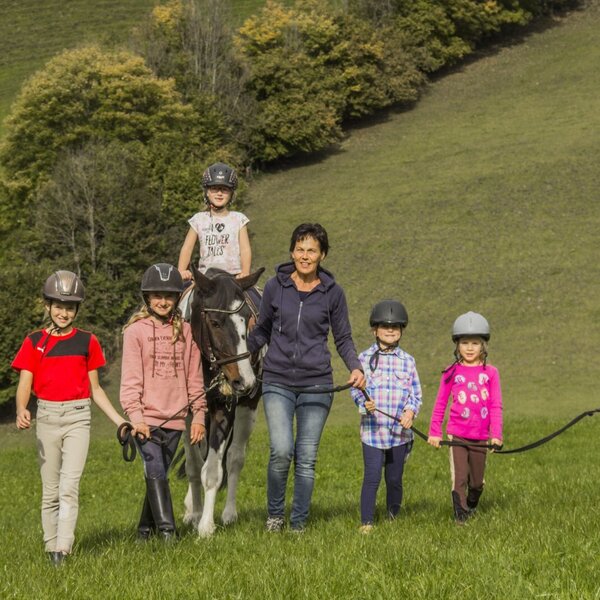 Reiten