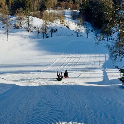 Kinder rodeln auf einem verschneiten Hügel am Bauernhof, mit einem Wald im Hintergrund.