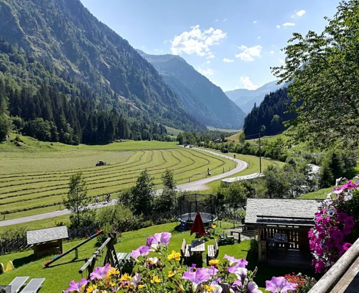 Aussicht vom Bauernhof mit bunten Blumen im Vordergrund auf das grüne Tal mit Bergen, gemähte Wiesen und einen Spielplatz mit Schaukel, Wippe und Trampolin.