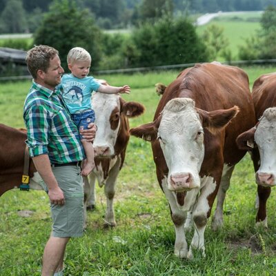 Ein Gast mit Kind erlebt die Kühe auf der Weide des Bauernhofs.