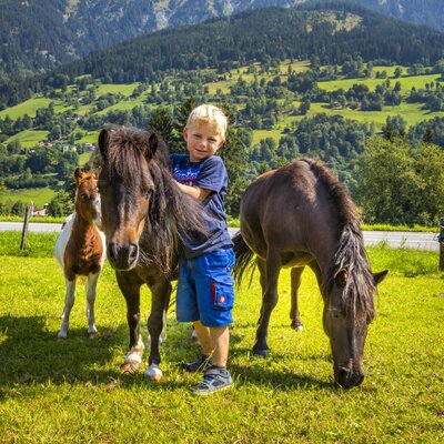 Ein Kind mit Pferden und einem Fohlen auf der Wiese des Bauernhofs, umgeben von grünen Bergen.