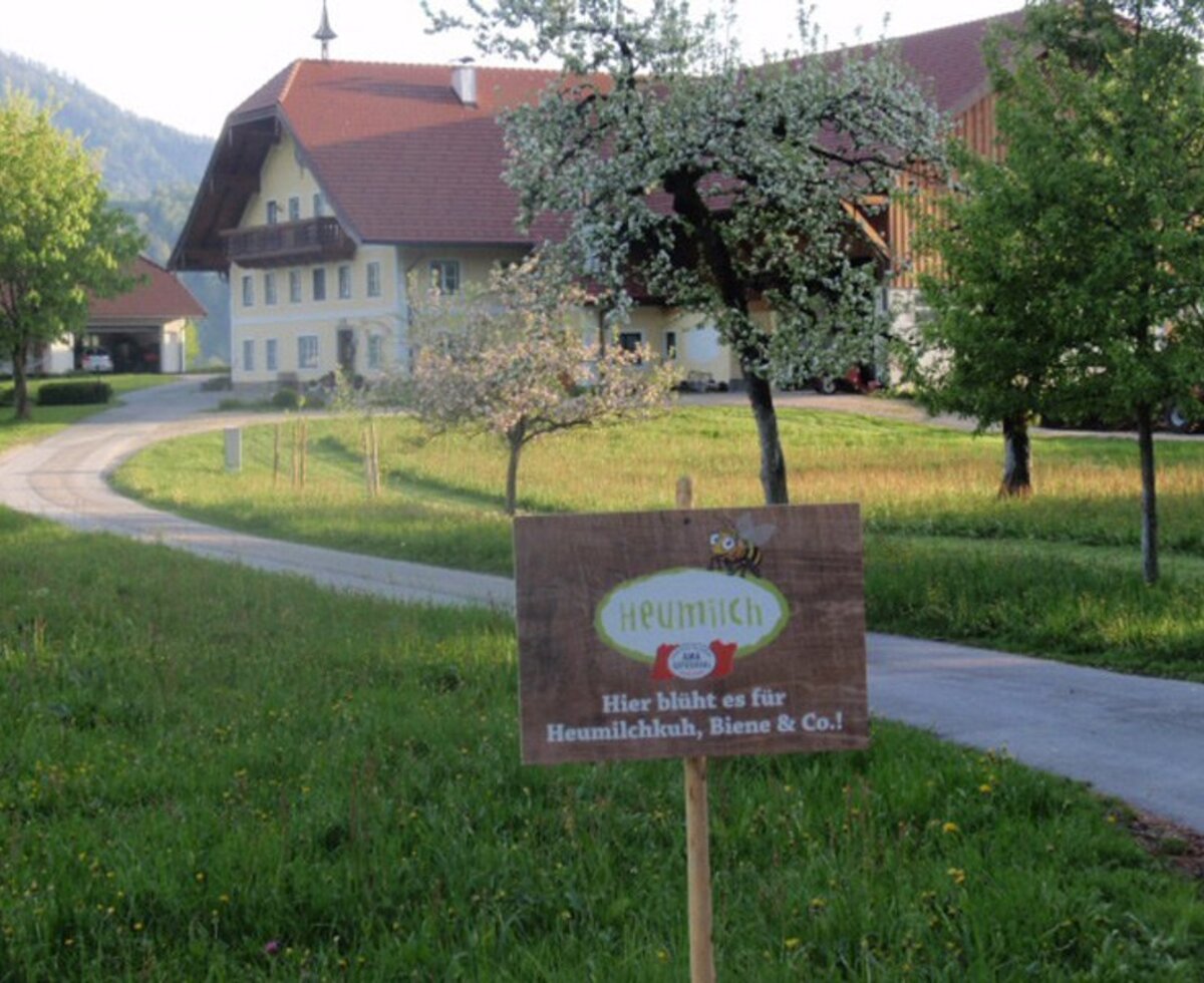 Vordergschwandtgut
