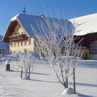 Vordergschwandtgut im Winter