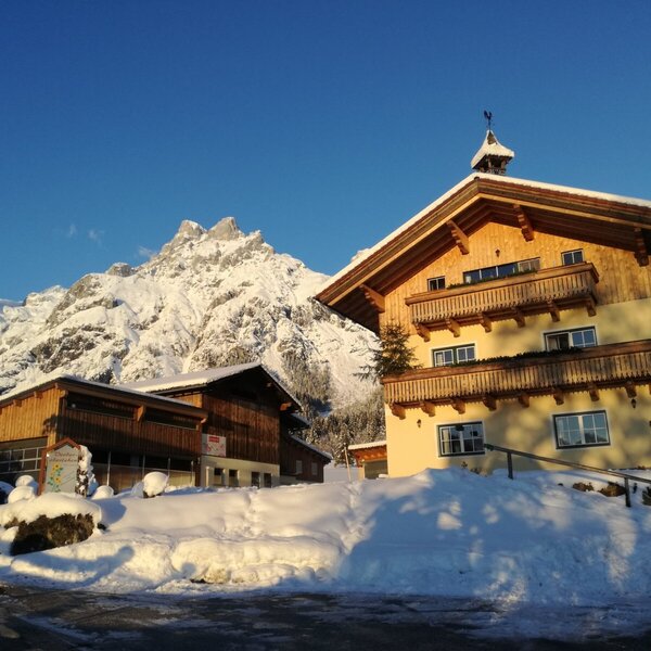 Haus