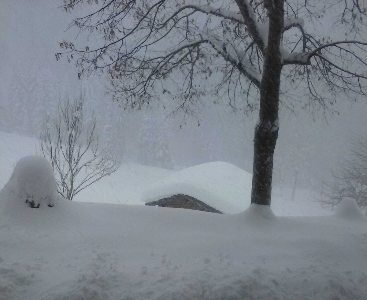 Verschneite Winterlandschaft um den Bauernhof mit tiefem Schnee und Bäumen.