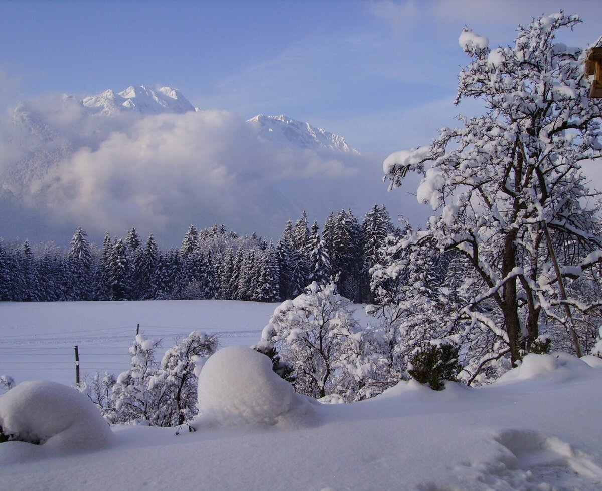 Winterlandschaft mit schneebedeckten Bäumen und Bergblick vom Bauernhof.