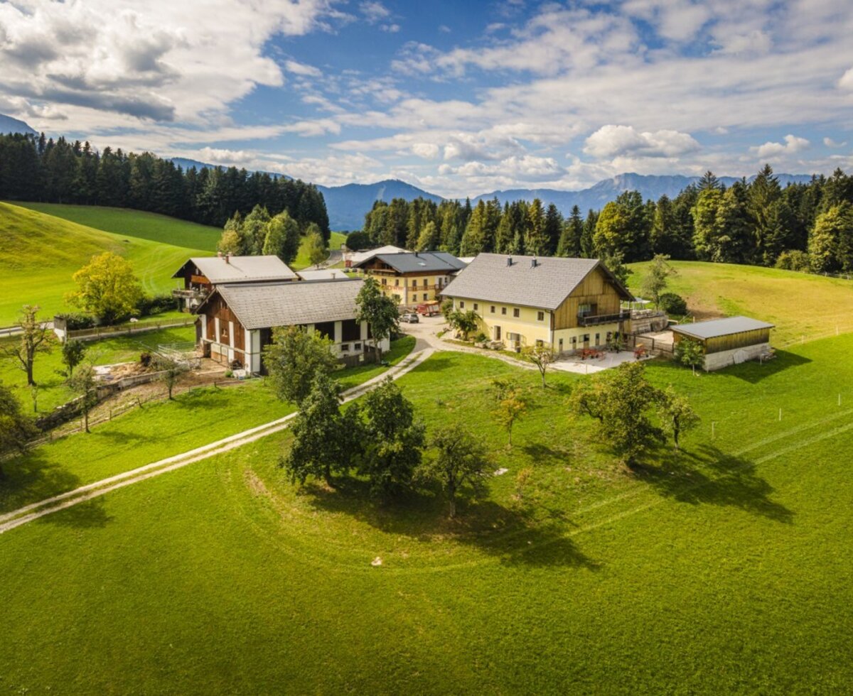 Der einladende Bauernhof umgeben von weiten, grünen Wiesen und einer malerischen Berglandschaft.