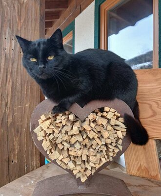 Eine schwarze Katze sitzt auf einer herzförmigen Dekoration aus Holzstücken im Bed and Breakfast.