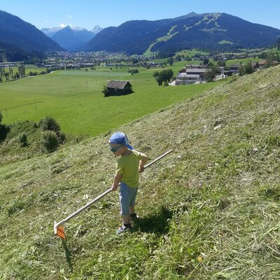 Ein Kind harkt Heu auf dem Hang des Bio-Bauernhofs, mit Bergblick im Hintergrund.