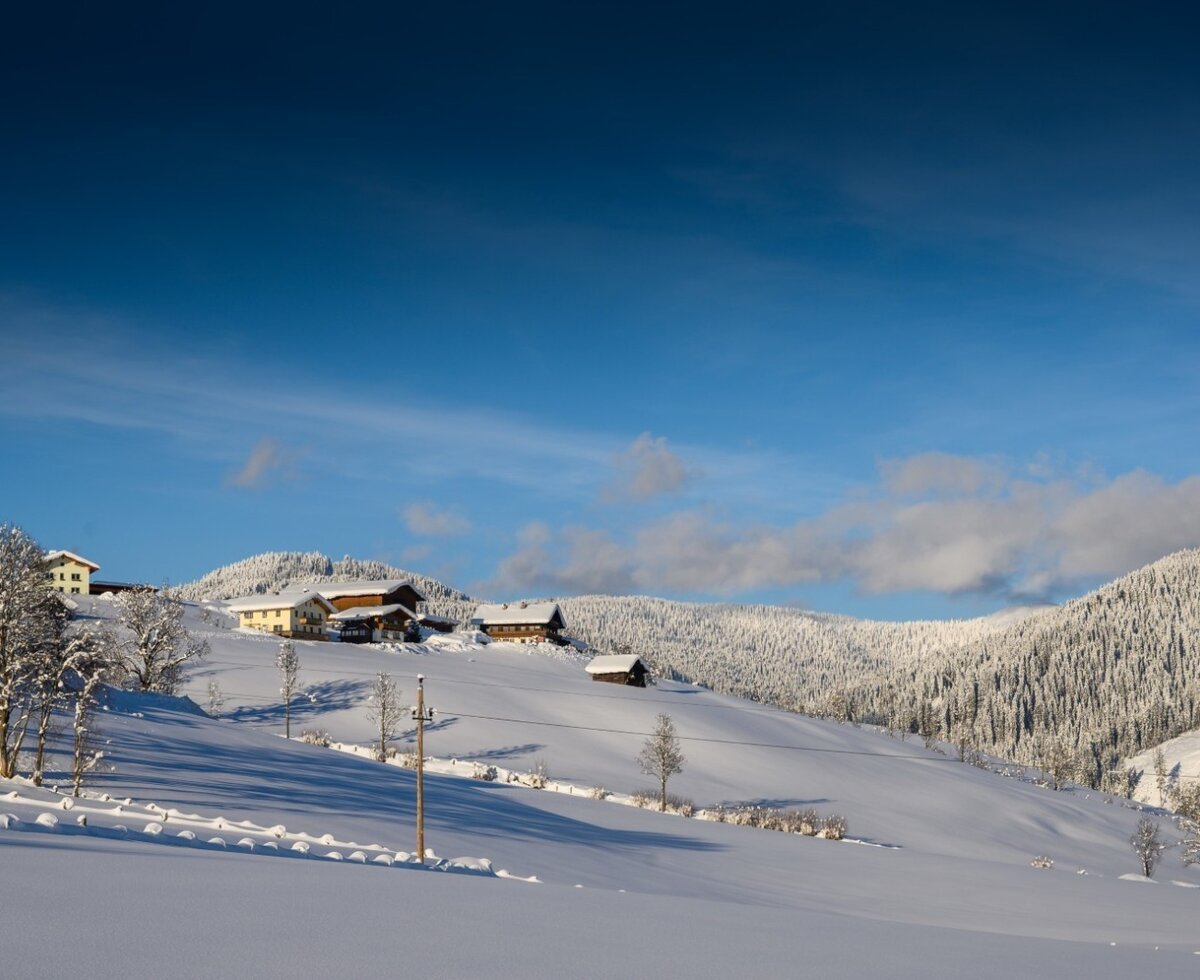 Winterlandschaft mit schneebedeckten Hügeln und Bäumen, die den Bio-Bauernhof Burnstein in idyllischer Hanglage umgeben.