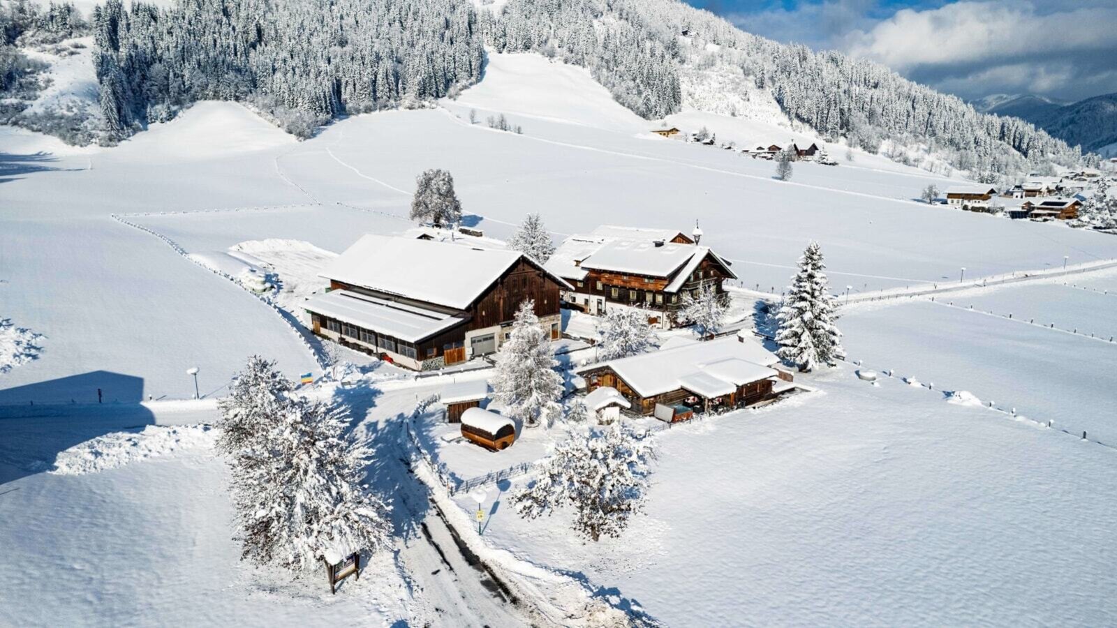 Winter Wonderland