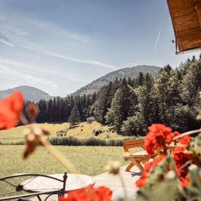 Aussicht Rannberg und Faistenauer Schafberg