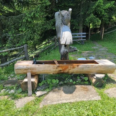 Holzbrunnen aus einem Baumstamm mit geschnitzter Figur im Außenbereich der Almhütte.