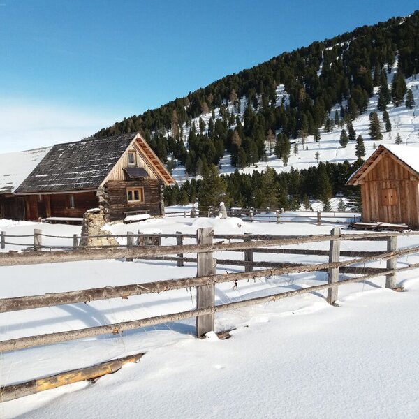 Davidhütte