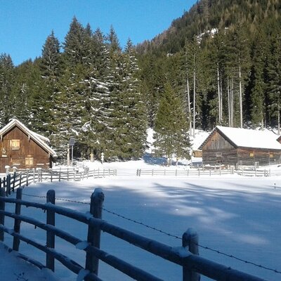 Der verschneite Bauernhof mit seinen Gebäuden, umgeben von einem Holzzaun und Wald.