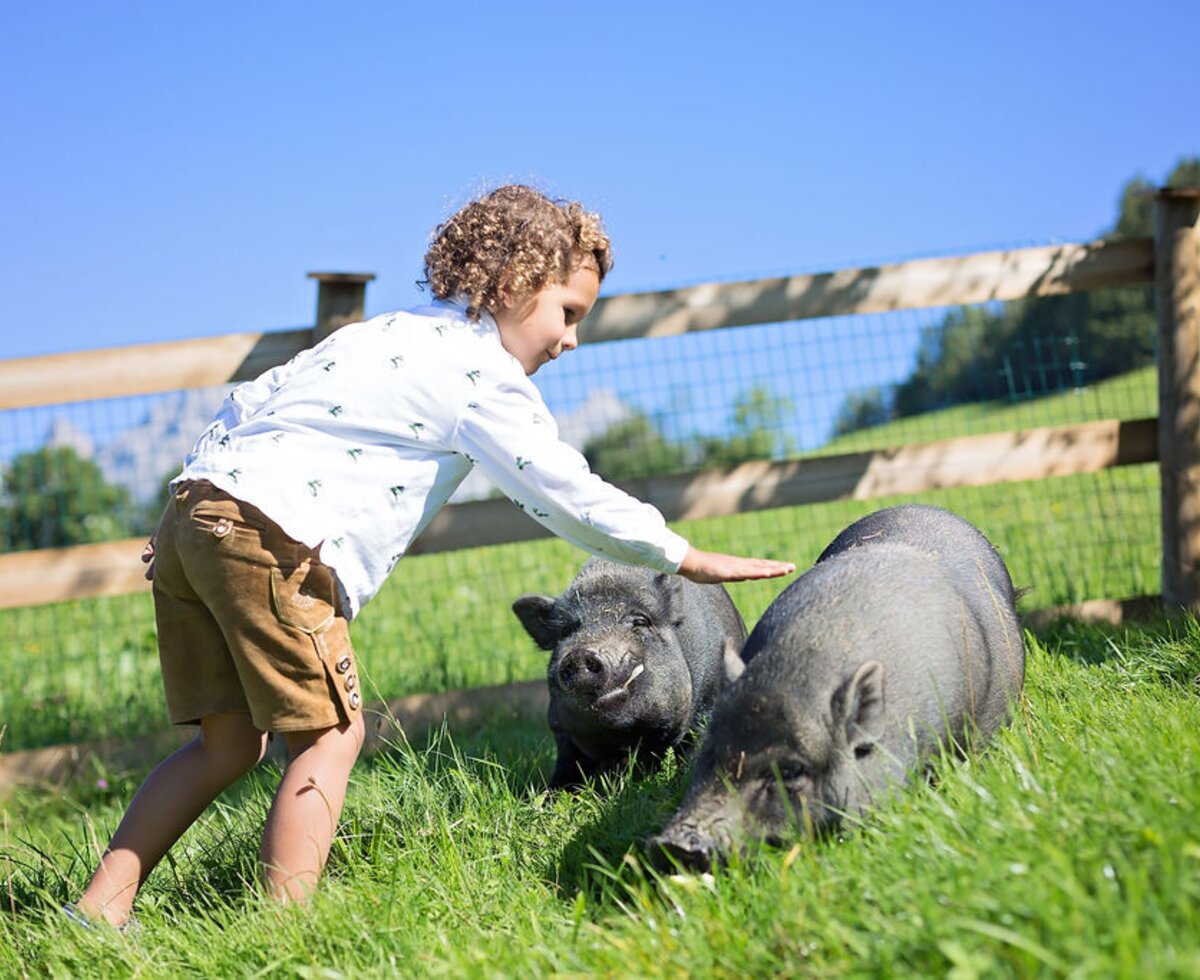 Auf dem Bauernhof können Kinder die Schweine streicheln.