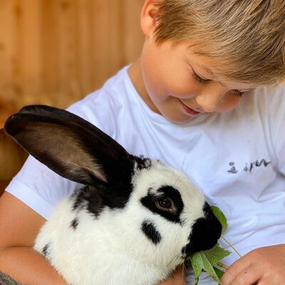 Wo Kinderherzen höher schlagen...