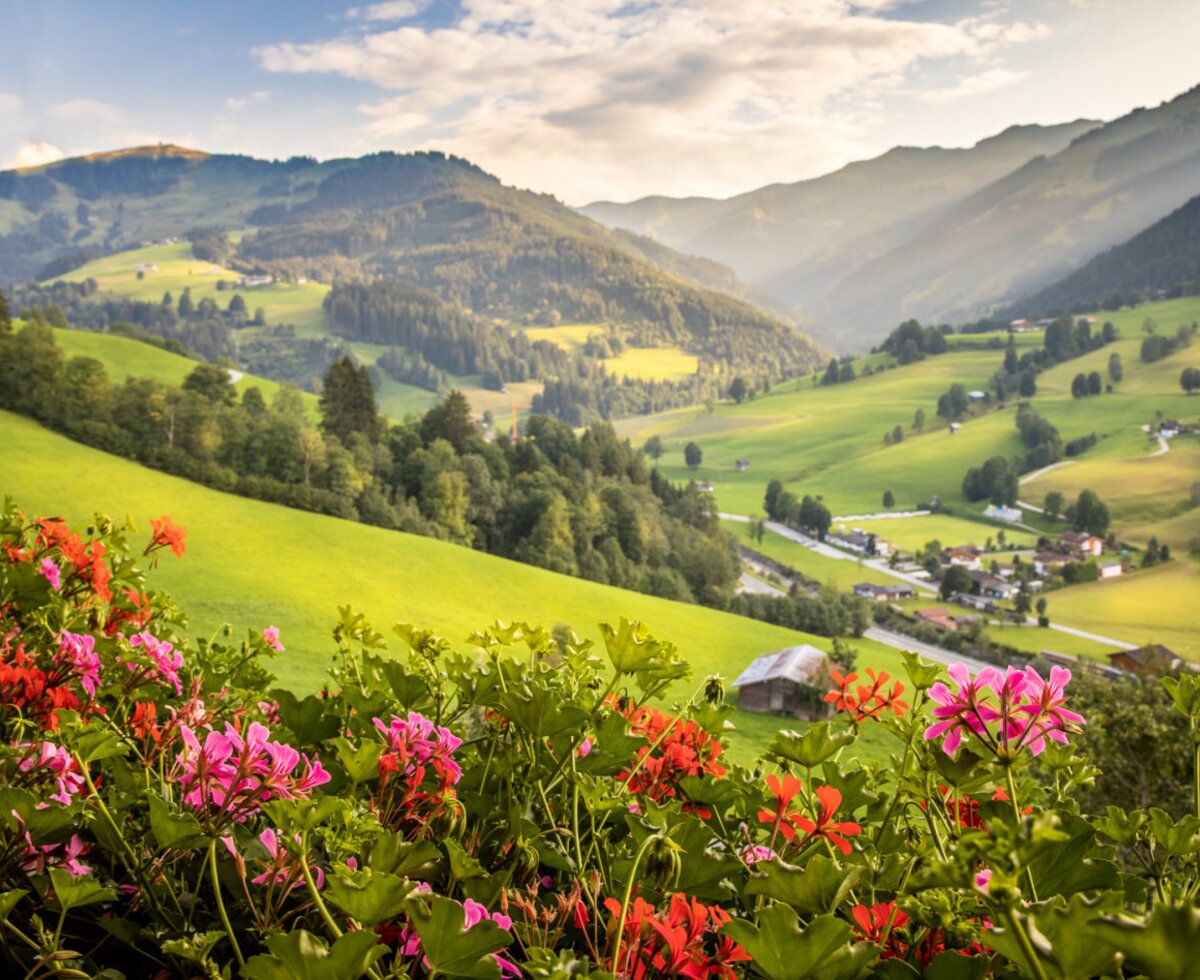 Blick auf das Bergtal vom Balkon des Bauernhofs, umrahmt von farbenfrohen Blumen.