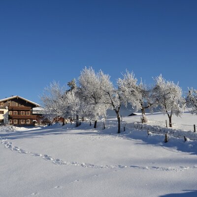 winter landschaft