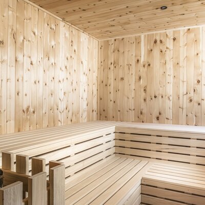 Die Sauna der Alm mit Holzverkleidung, mehrstufigen Bänken und einem Saunaofen mit Steinen.