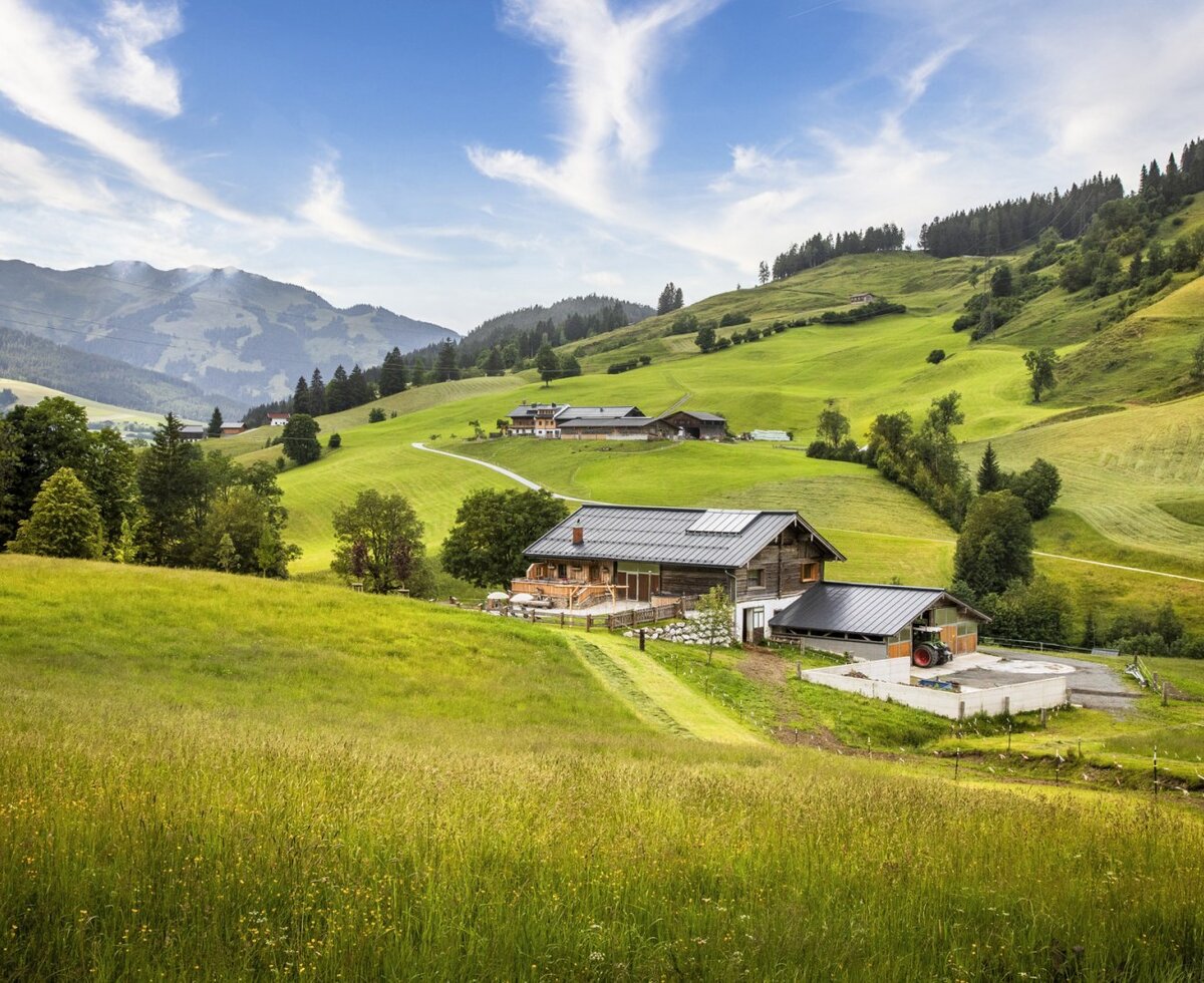 Die urige Almhütte in idyllischer Alleinlage, umgeben von saftig grünen Wiesen und sanften Berghängen.