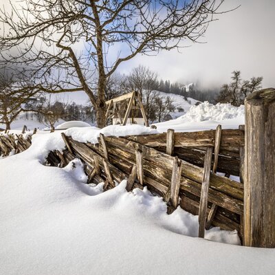 Die verschneite Umgebung des Bauernhofs mit einem traditionellen Holzzaun und Bäumen.