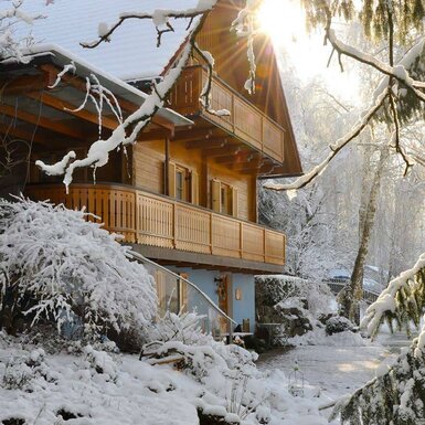 Haus Waldesruh - Winter