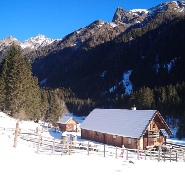 Der Hof Eseialm mit schneebedecktem Dach und Solarpaneel, umgeben von Wald und verschneiten Bergen.