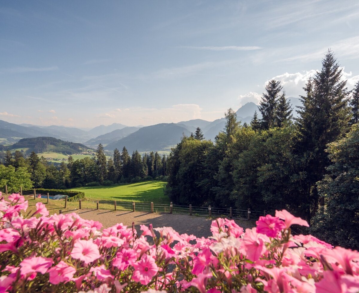 Blick vom Bauernhof auf die Berglandschaft mit grünen Feldern, einem eingezäunten Bereich und rosa Blumen im Vordergrund.