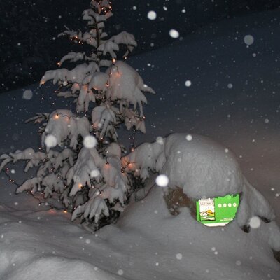 Ein schneebedeckter Baum mit Lichterkette und fallendem Schnee auf dem Bauernhof.