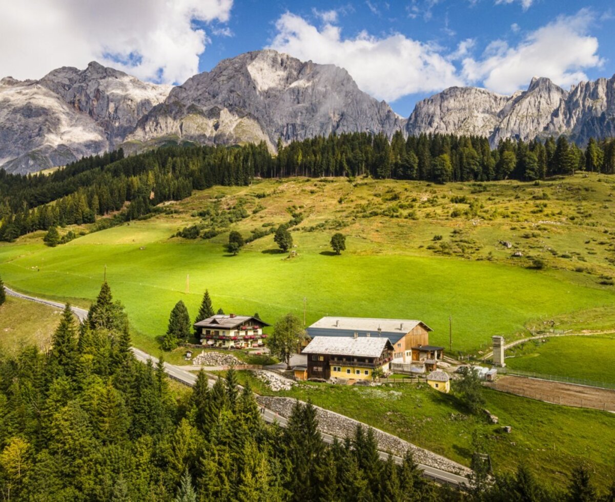 Der idyllisch gelegene Bauernhof inmitten saftig grüner Wiesen vor der beeindruckenden Kulisse des Hochkönigs.