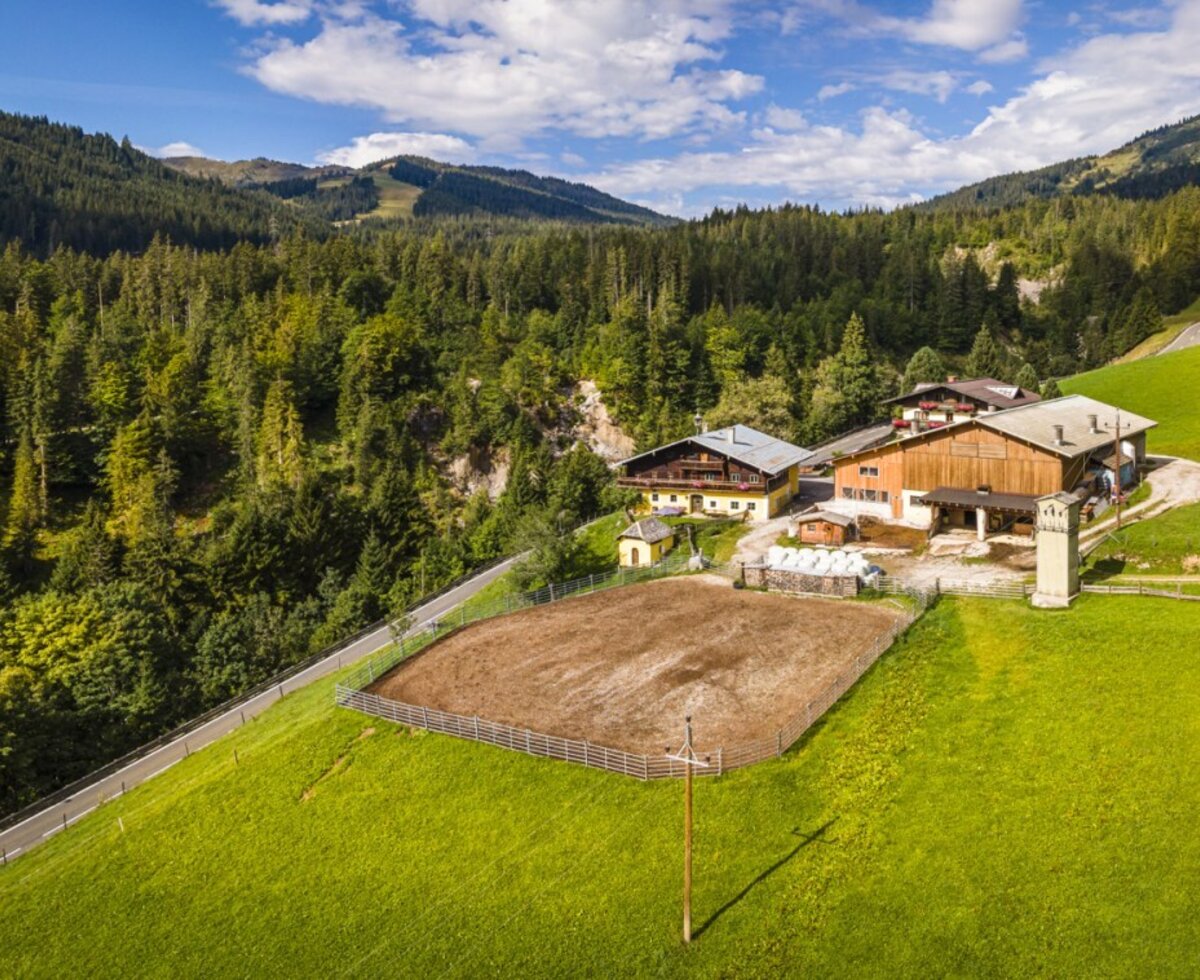 Der einladende Bauernhof inmitten von saftigen grünen Wiesen und dichten Wäldern vor einer malerischen Kulisse.
